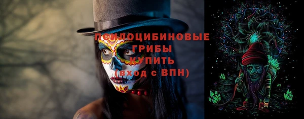 ГАЛЛЮЦИНОГЕННЫЕ ГРИБЫ Богданович
