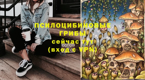хмурый Богородицк