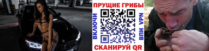 Псилоцибиновые грибы прущие грибы  Купить закладки  Лянтор 